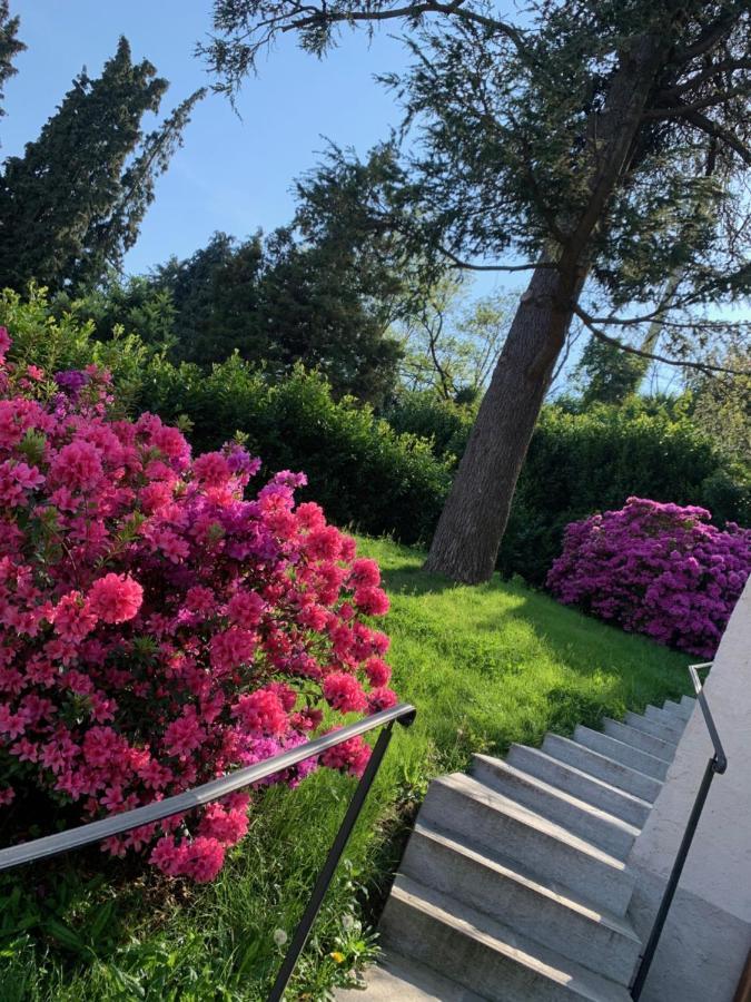 Giardini Magnolia Belgirate Exterior foto